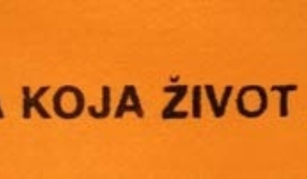 Fali vam koja daska u glavi? Ja sam sebi jednu kupio sinoć. Jeftino