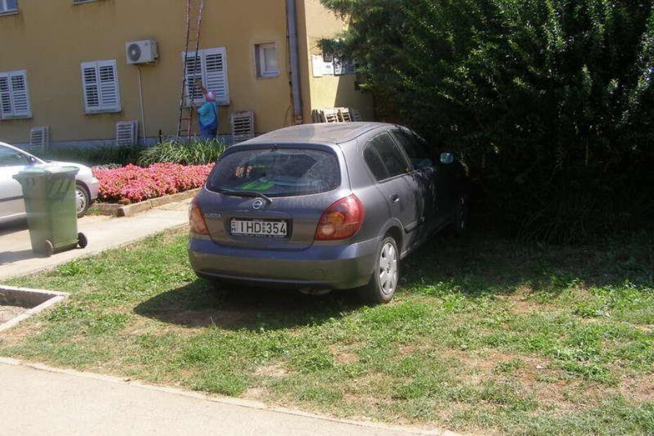 I susjedi Mađari svog "konja za utrku" imaju