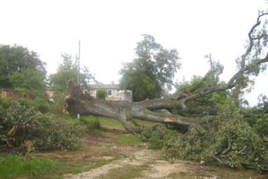 Srušeni tristogodišnjak