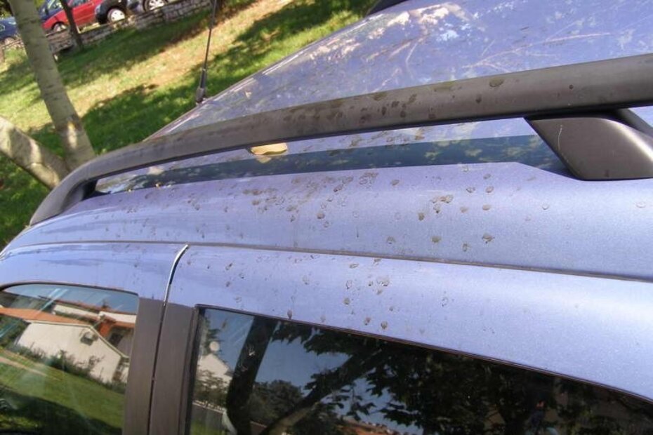 Ovaj stranac dobro se namučio dok je sa svog automobila skinuo smolu