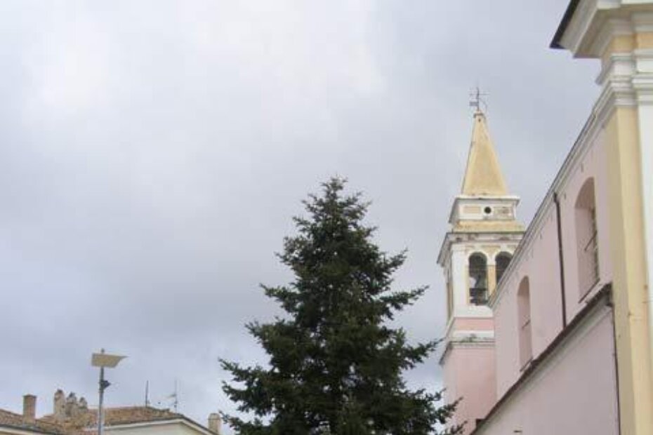 Jelka obitelji Žužić iz Novog naselja postavljena na porečkom Trgu slobode