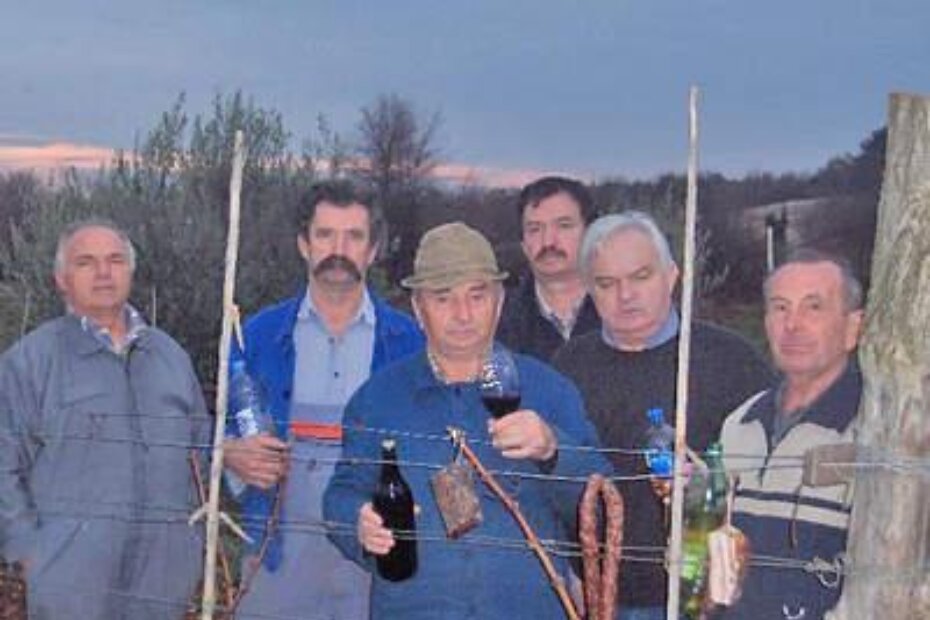 Složno da se ne utrne dalmatinska tradicija u Istri