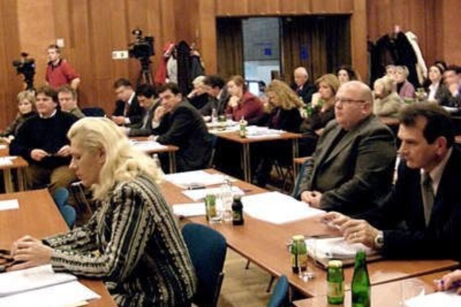 Županijska skupština s novom vijećnicom HDZ-a Lovorkom Tomičić