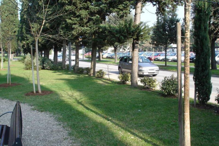 Živa ograda nije se zgusnula pa bi djeca kroz nju lako mogla istrčati na cestu