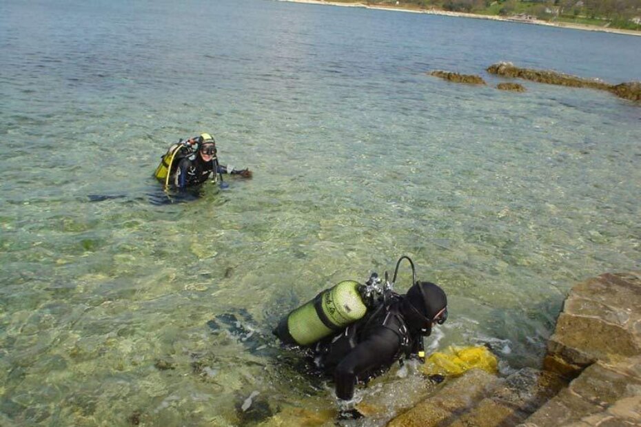 Zelena tropska alga Caulerpa racemosa pronađena je u sjevernom Jadranu u Vrsarskom arhipelagu i u porečkom priobalju