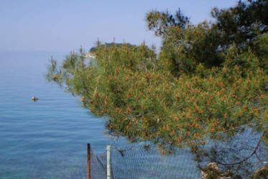Ograda u kampu Turist do samoga mora