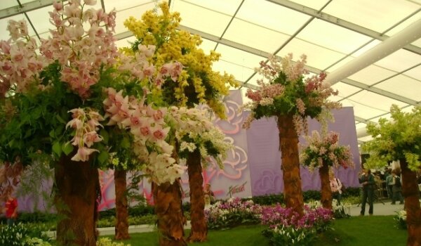 Porečki učenici na 42. međunarodnoj vrtnoj izložbi 'Floraart' u Zagrebu