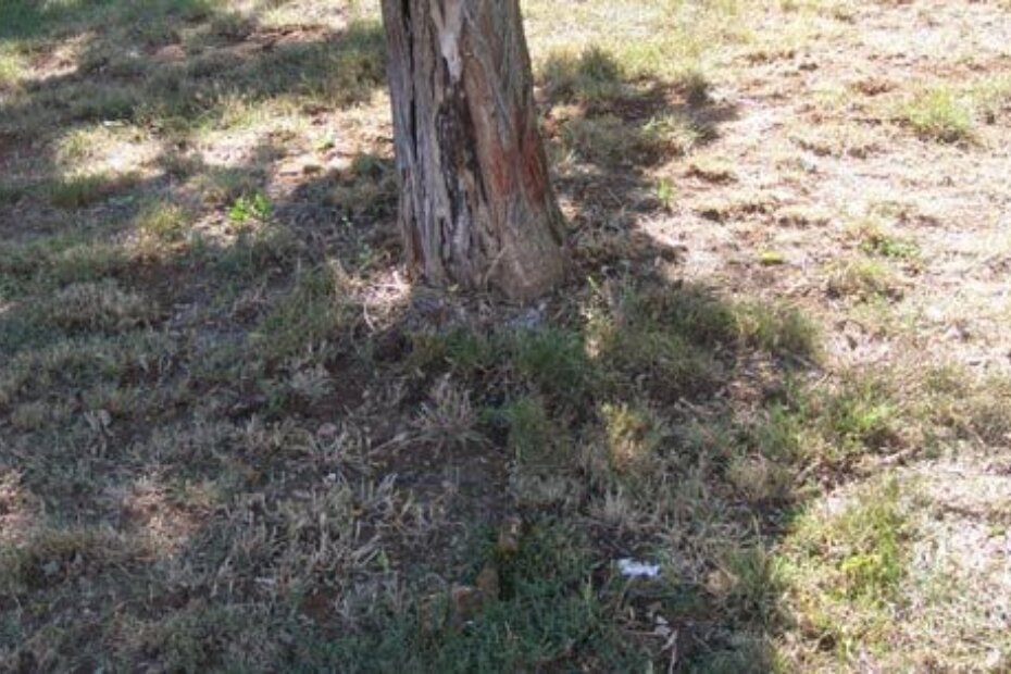 Ako na umanjenoj fotki ne vidite ništa čudno, kliknite na nju pa pogledajte na uvećanoj