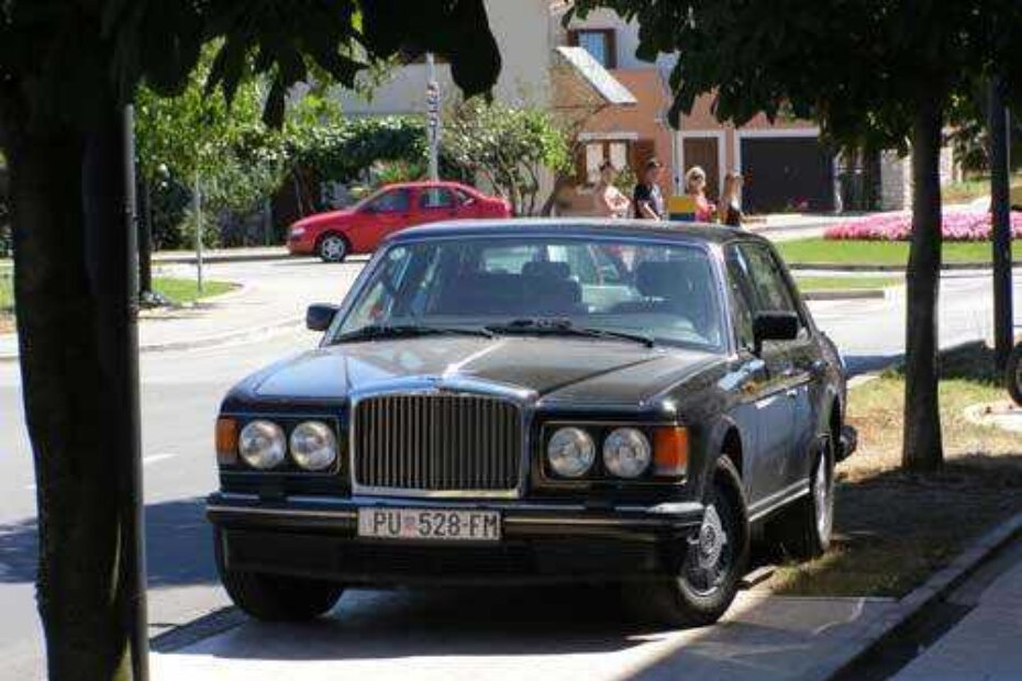 Akademik koji je svojim "parkiranjem" odnio titulu akademika-parkirnog perverznjaka mjeseca