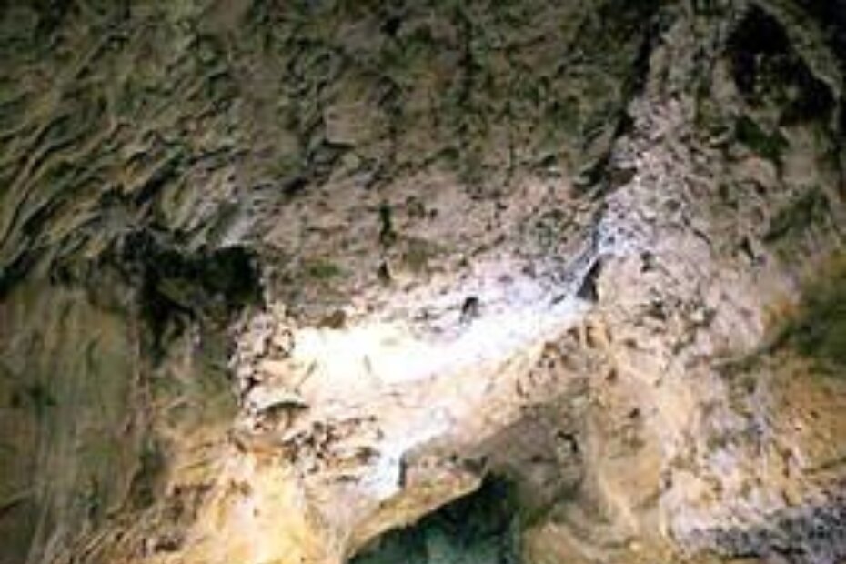 Škola speleologije u Višnjanu