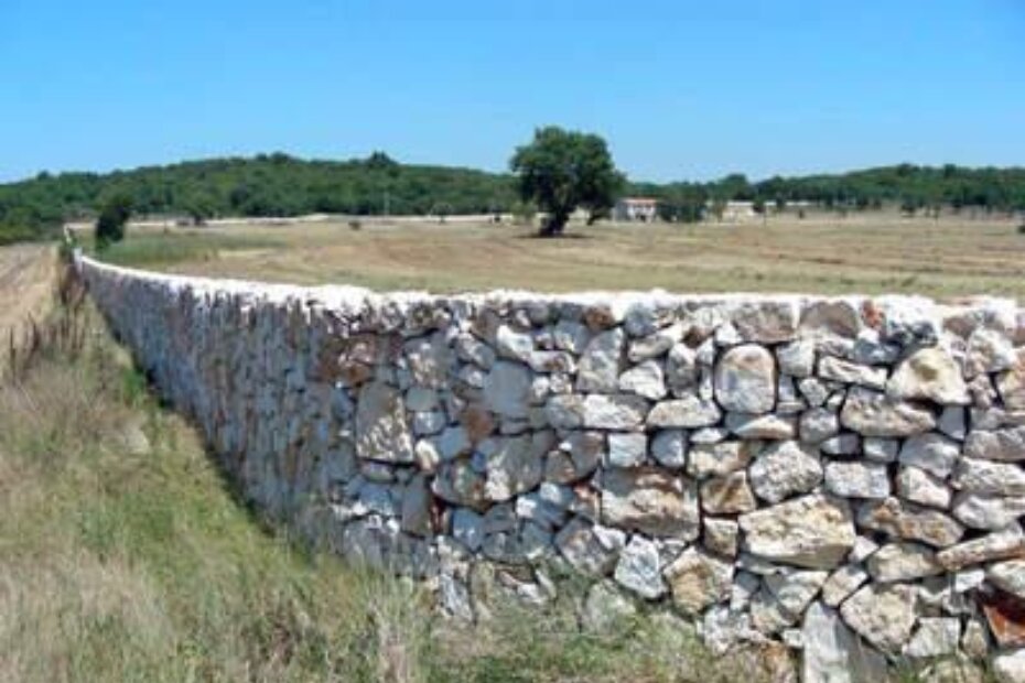 Zidine Luke Rajića na Stanciji Gati