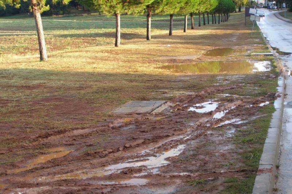 Izrovana zemlja - nakon kiše kaos. Da li kriviti budale koje tu parkiraju ili one koji im to ne onemogućavaju? Ili one koji im ne omogućavaju da parkiraju negdje drugdje? Hm....