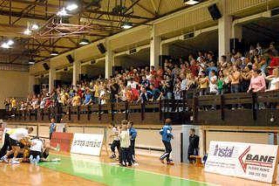 ZASLUŽENE OVACIJE NA KRAJU - publika s tribine 'Velog Jože' pljeskom je pozdravila radosne rukometaša 'Poreča'