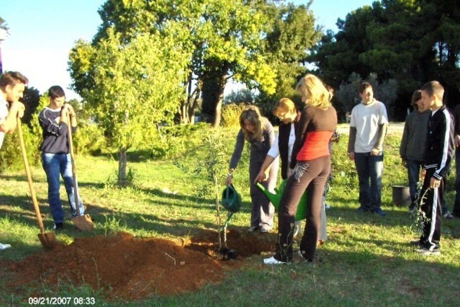Učenici I. razreda poljoprivredne struke u školskom parku posadili maslinu mira