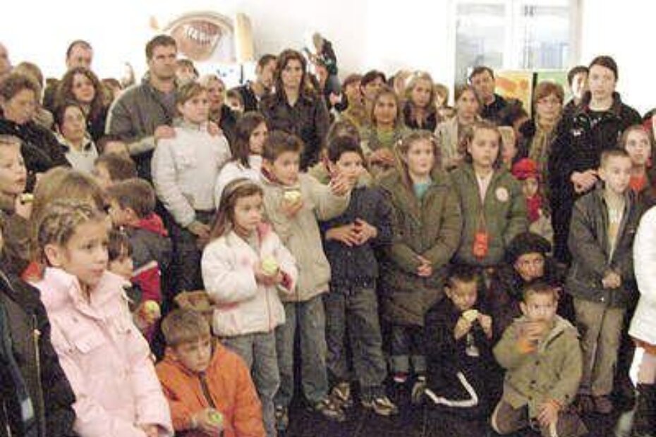 Mala i velika publika