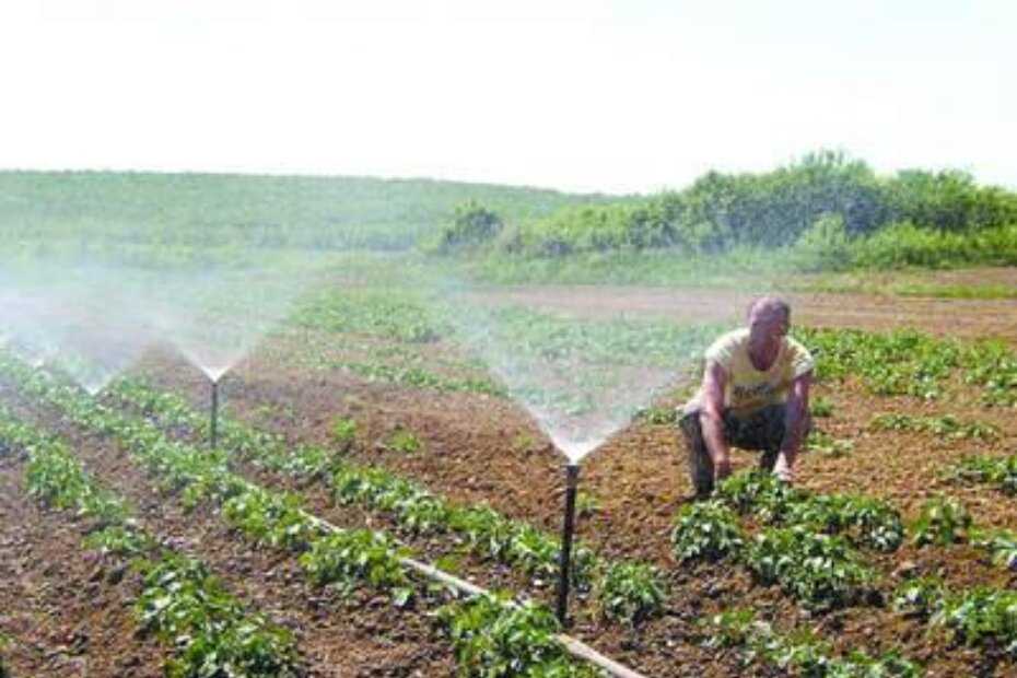Sustavi za natapanje rijetko se  mogu vidjeti na istarskim poljima