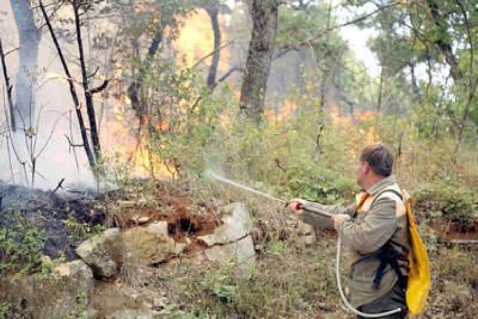 Samo od lipnja do listopada zabilježeno 1.026 požara