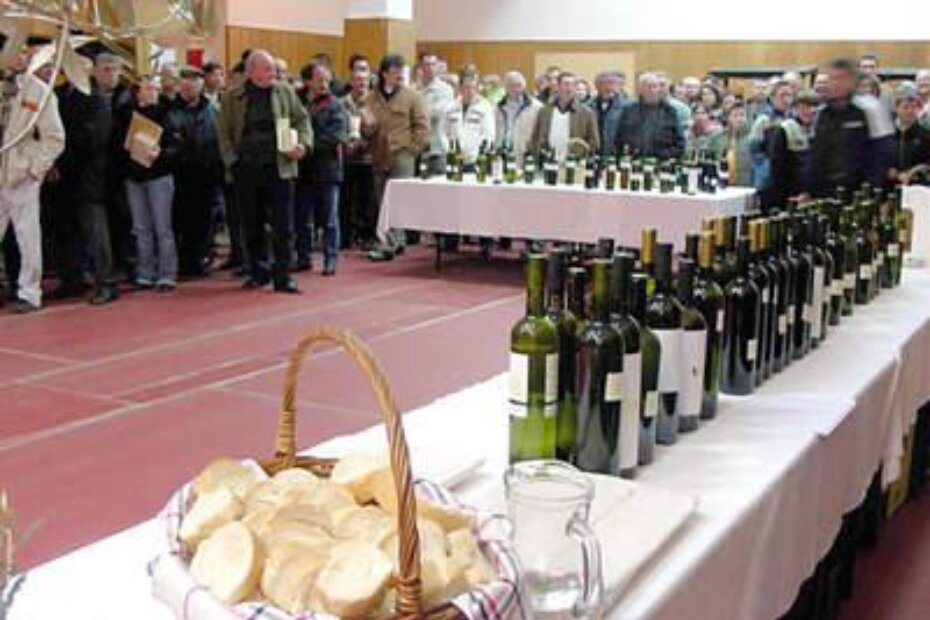 Ocijenjeno je 48 uzoraka vina i 33 maslinova ulja