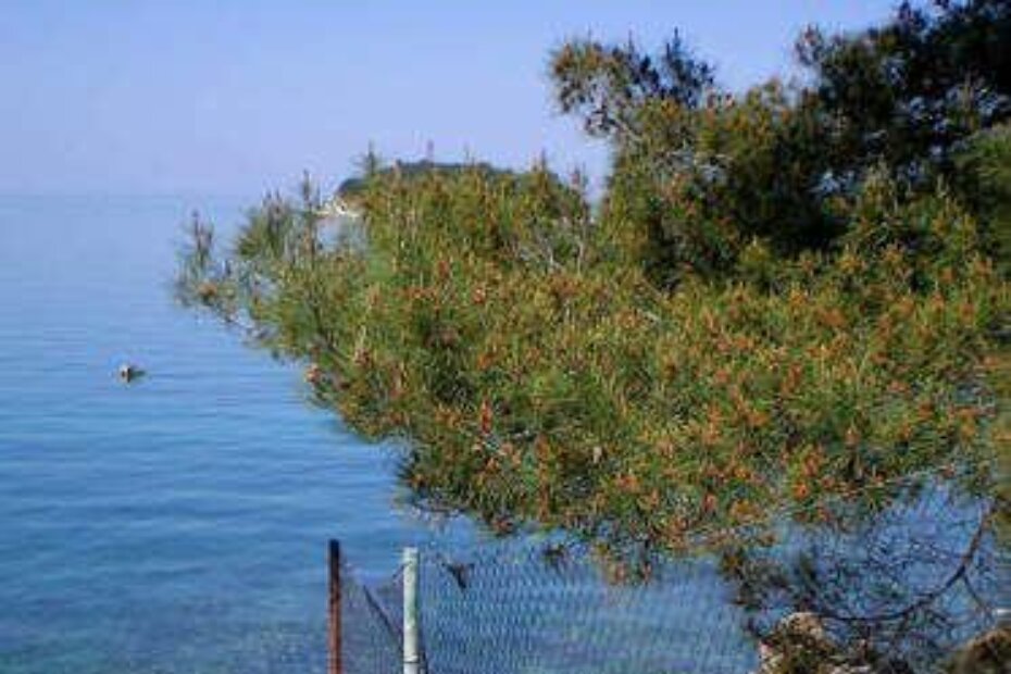 Ograda do mora u Vrsaru