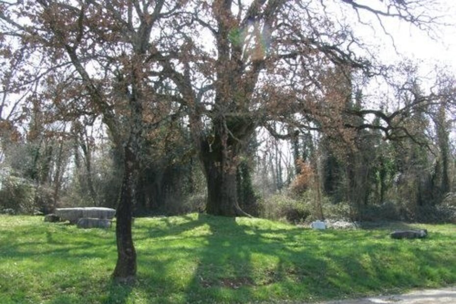 Okoliš duba napokon je čist