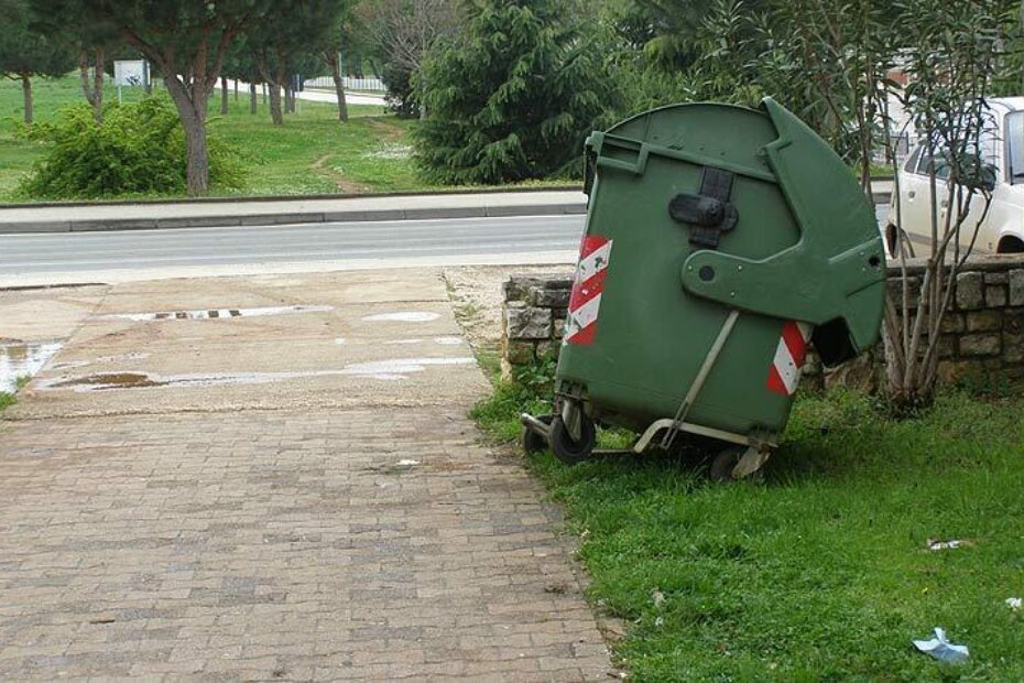 Nakrivljeni kontejner, otvorena poklopca, a okolo razbacano smeće