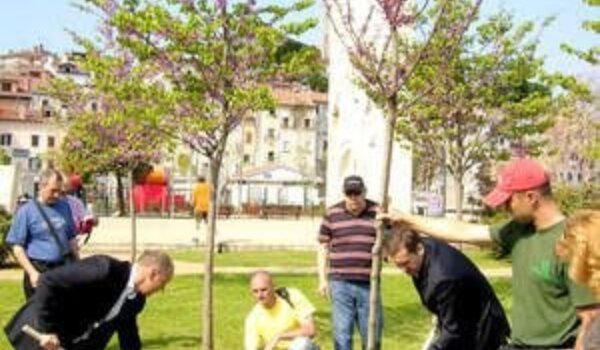 Bulić: Slovenske vinjete su feudalno ponašanje