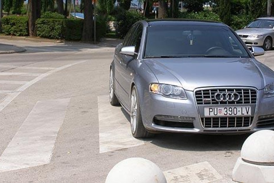 Zebra kod Parka Olge Ban: upališ sva četiri žmigavca i riješio si svoj problem po sistemu "samo par minuta, pa šta se pjeniš?"