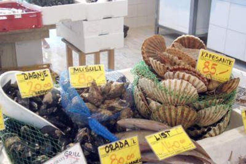 Odlična ponuda školjaka