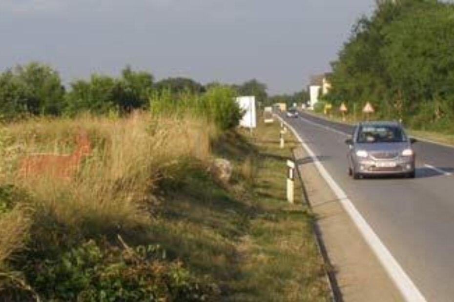 Nakon što je rub ceste pokošen, drugi je Bambi postao vidljiviji (lijevo na slici)