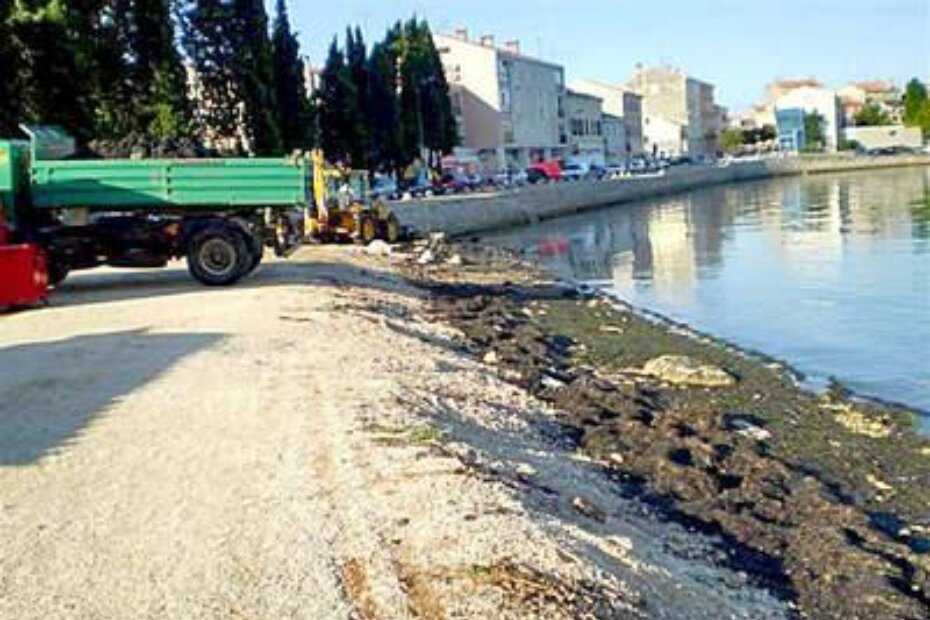 Čišćenje naplavina u Peškeri