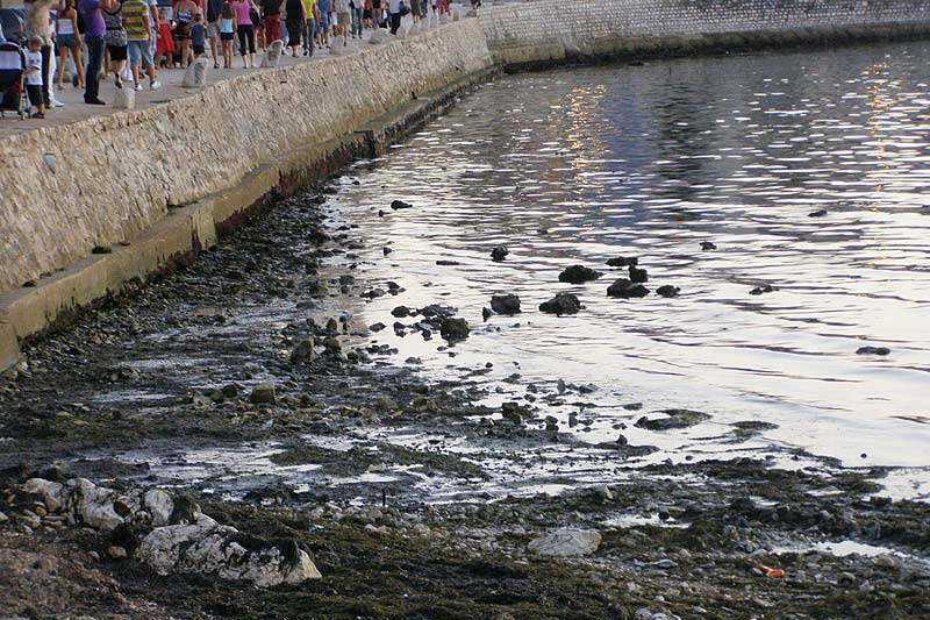 Strašan smrad se i dalje širi Peškerom, kojom dnevno pješke prođu tisuće turista