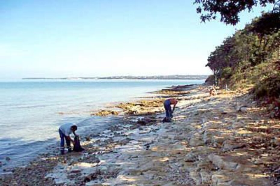 Radnici Usluge skupljaju kamenčiće onečišćene mazutom na Punti Busolo