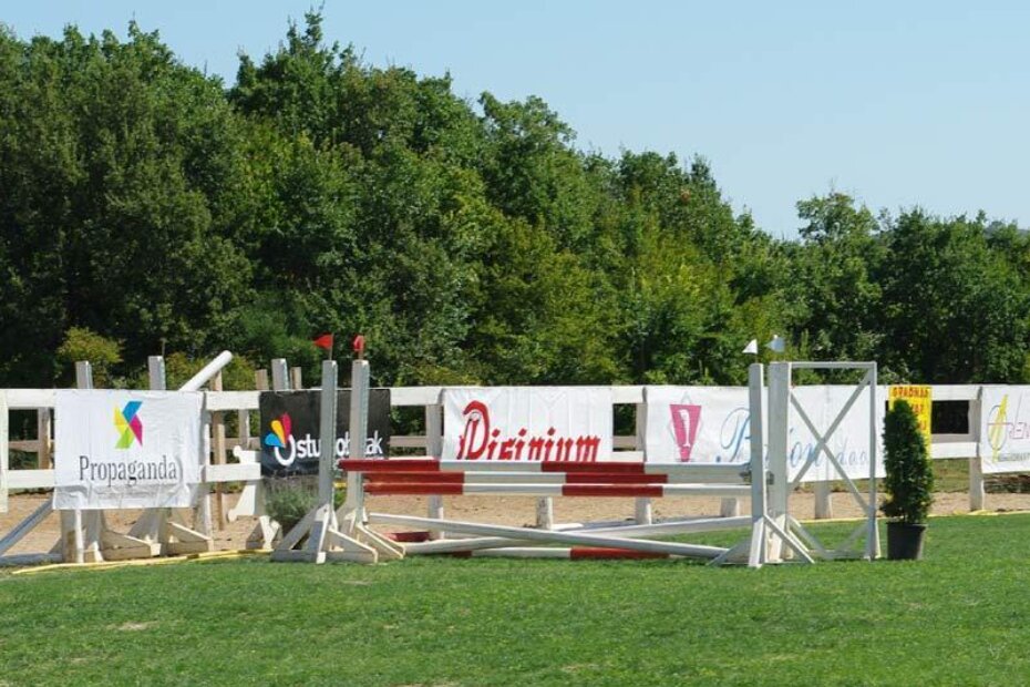 Prepreka na kojoj je iskusni Dražen Tadijević doživio sportsku nezgodu jašući kobilu Papageno