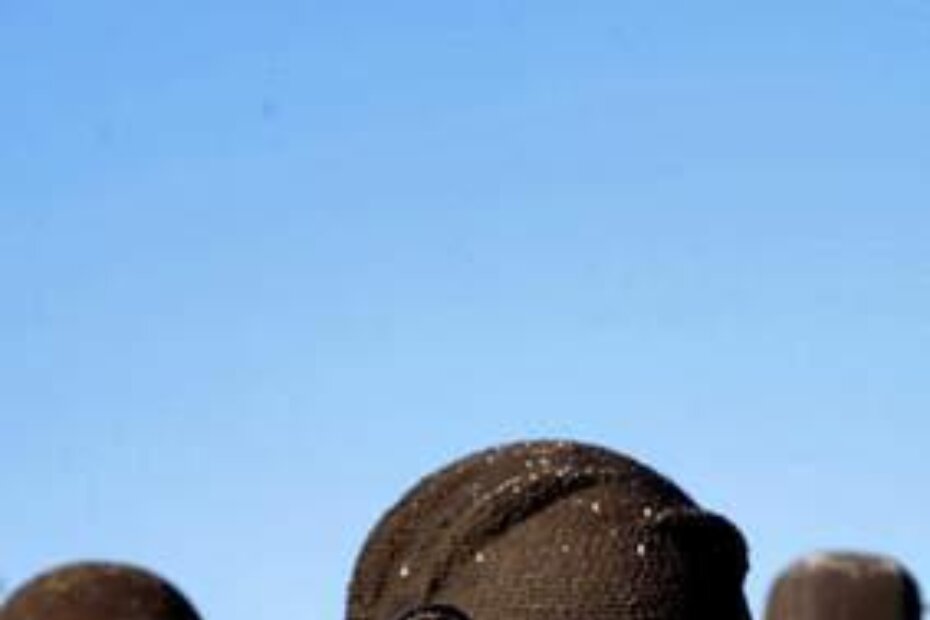 U Džamonjinom kompleksu dopušta se gradnja ulaznog objekta s cafe barom, prodajne galerije, muzeja i garaže