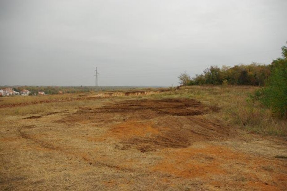 Pogled na "smrdljivu" njivu preko ceste, a vide se i tragovi kamiona preko otpada od proizvodnje maslinova ulja koje također nesnosno smrdi