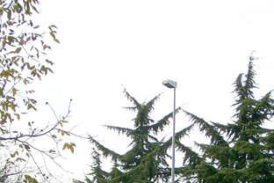 Rekonstrukcija postojećih rasvjetnih mjesta uključuje i ličenje stupova