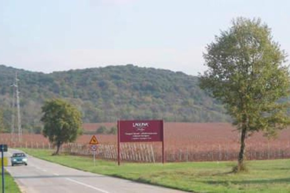 Agrolagunini vinogradi kod skretanja za aerodrom