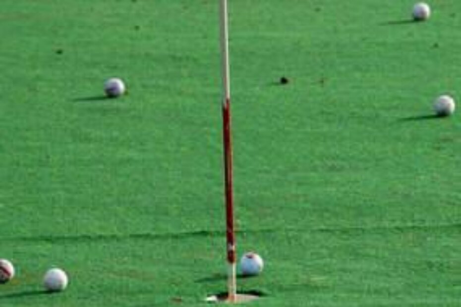 Hoće li se u budućnosti umjesto Istra golf dizajnu investitori za pomoć obraćati Golf Adriji?