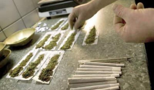 Marihuana u Istri i Dubrovniku polulegalna