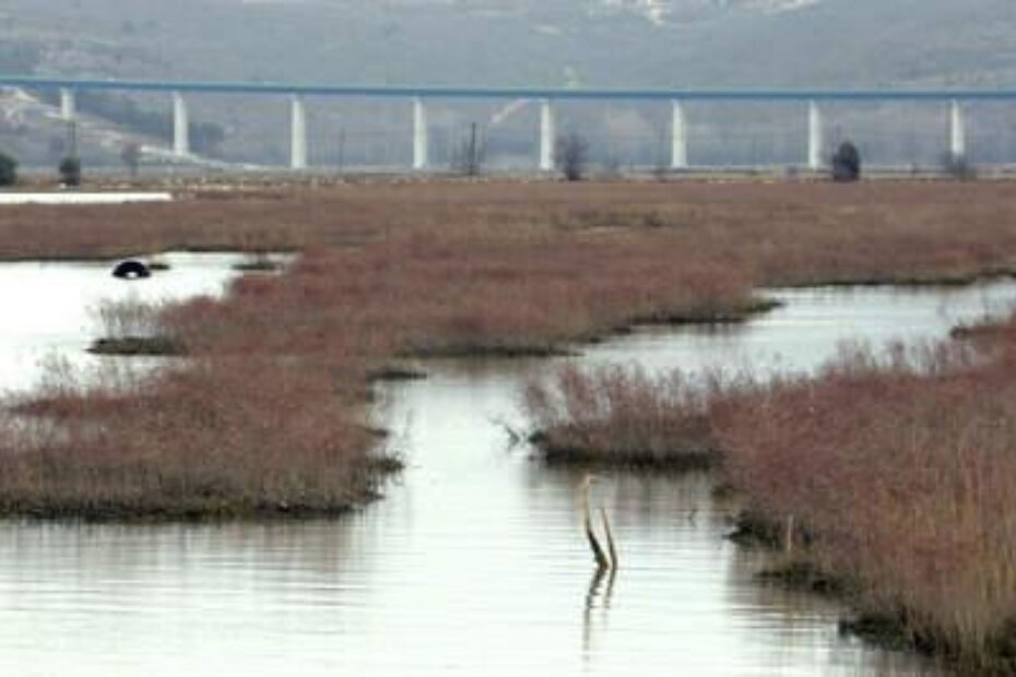 Ušće Mirne i Tarska vala postaju drugi poseban ornitološki rezervat u Istri