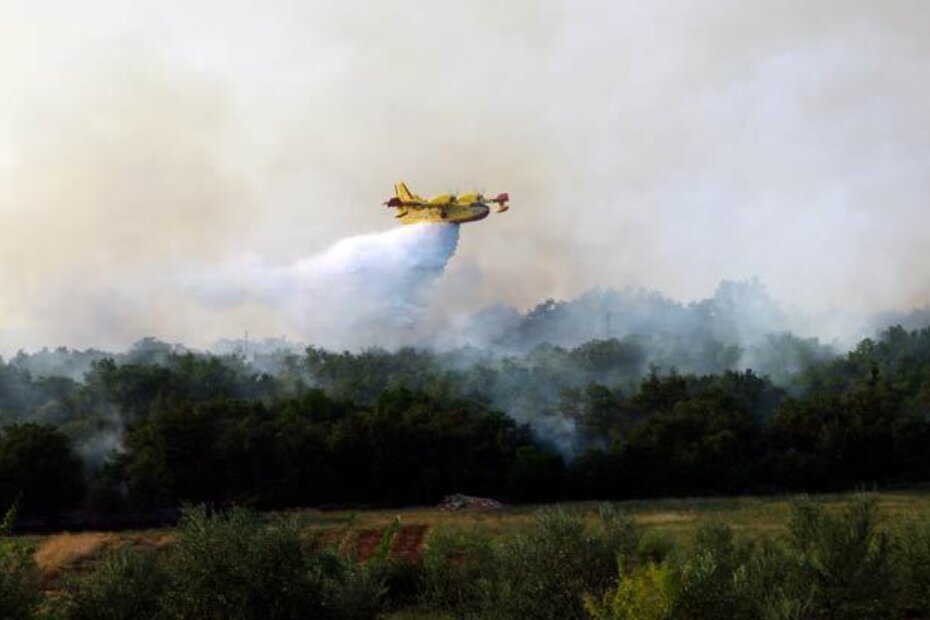 Kanader gasi požar kod sela Vinela na Bujštini