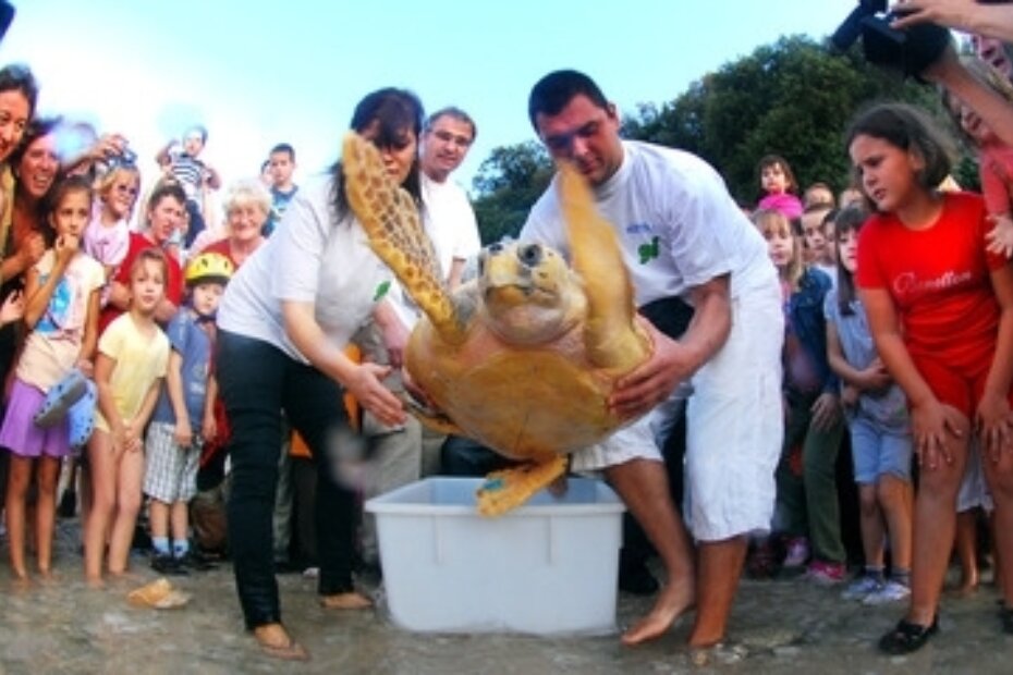 Spremni na povratak u more