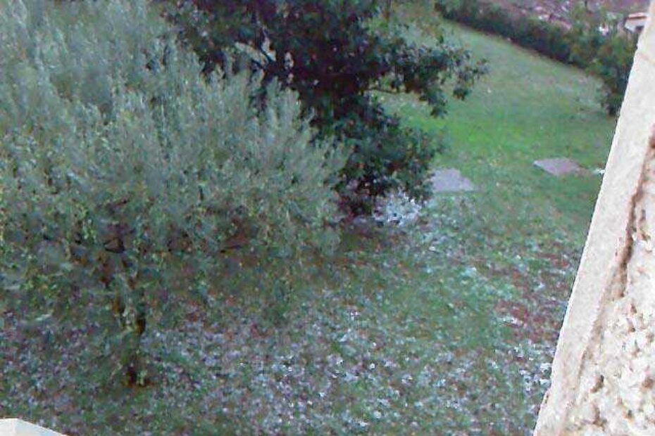 Tuča je u Labincima "pobrala" masline