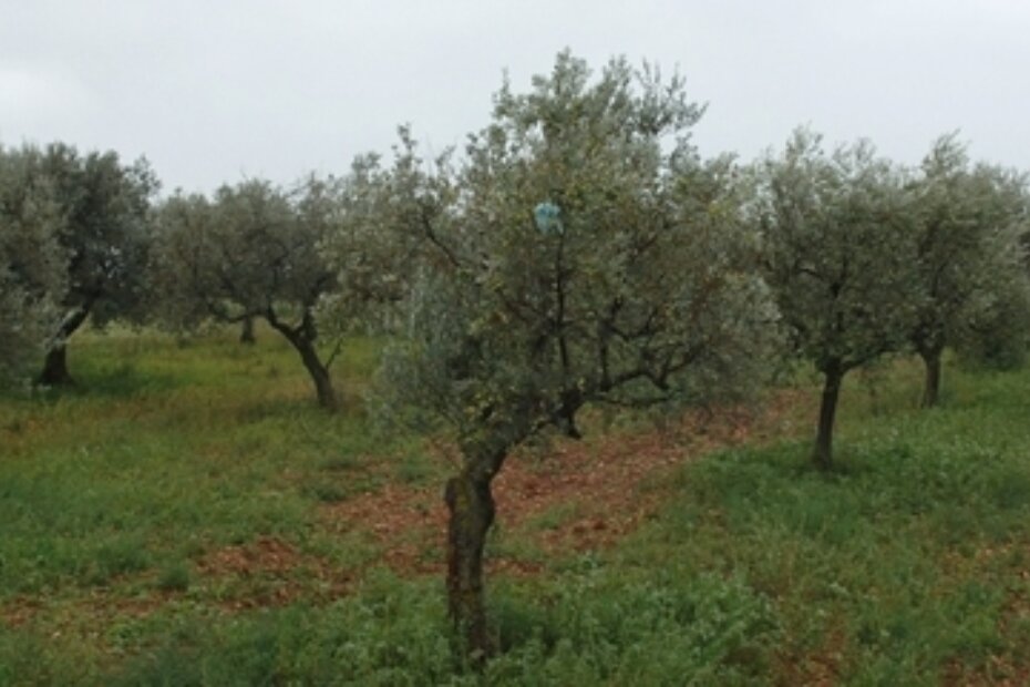 Najviše štete u Labincima (D. Me.)