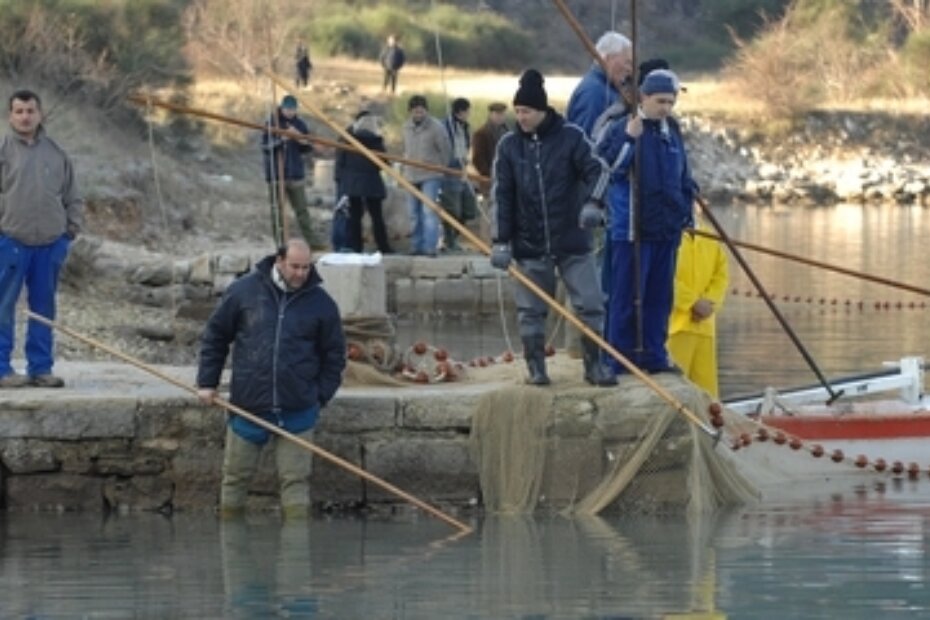 Izlovljavanje riba u Tarskoj vali