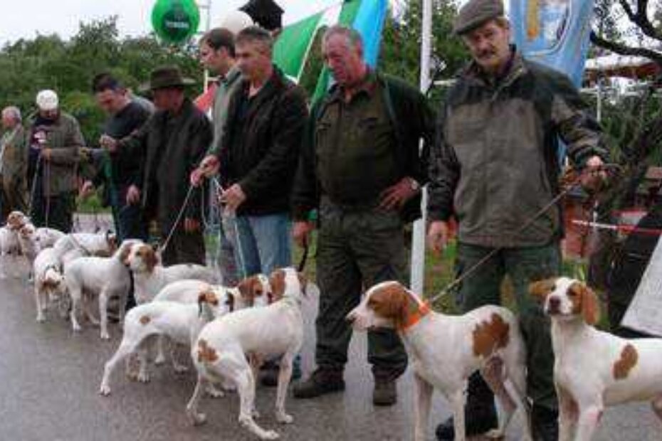 Državno prvenstvo u radu pasa goniča (K. F.)