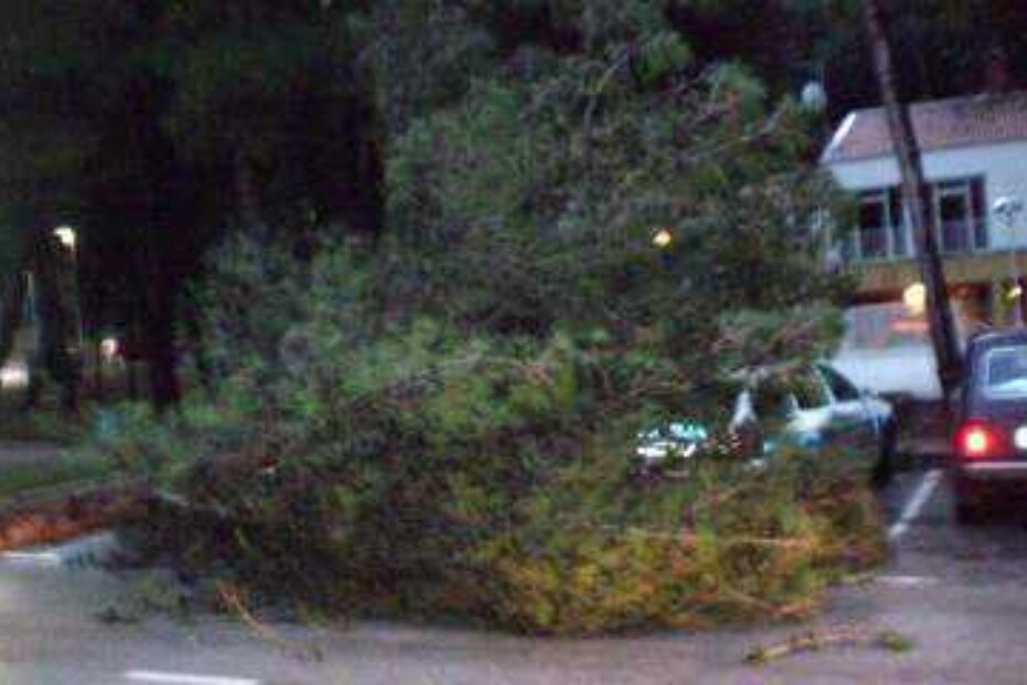 Bor na policijskom automobilu