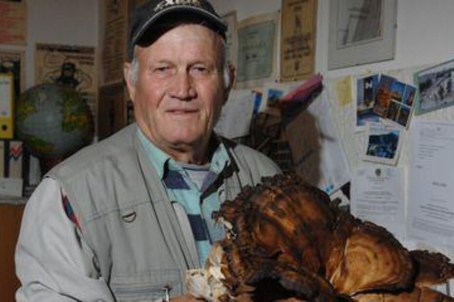 Gigantska cokarica (M. Mi)