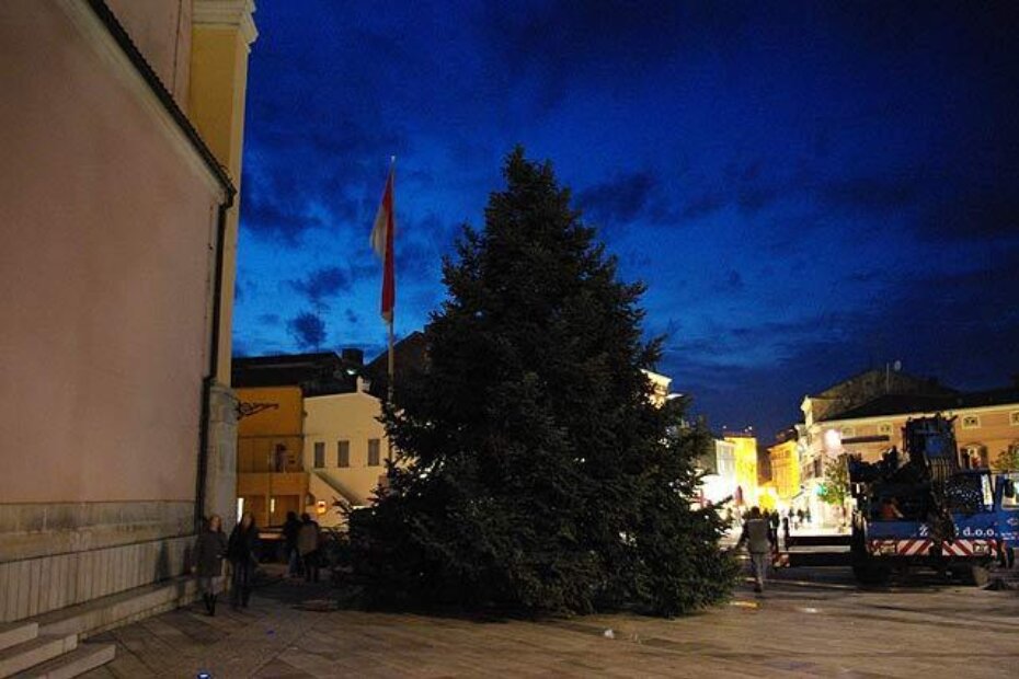 Drvo je nakon višesatne operacije oko 17:30 sati postavljeno na svoje uobičajeno mjesto