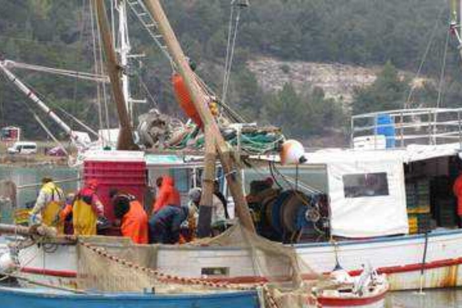 Prvo povlačenje mreža u Tarskoj vali